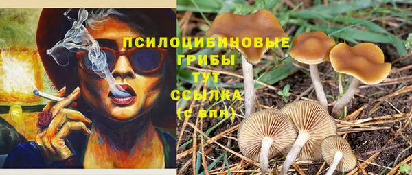 гашишное масло Заводоуковск