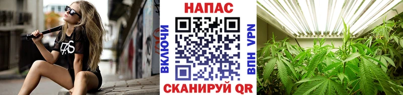 Купить  Кимовск  Конопля LSD WEED 